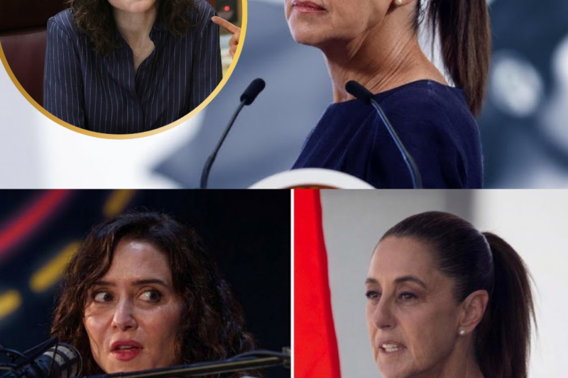 Las imágenes siguen incendiando las redes. Mientras Isabel Díaz Ayuso intentaba continuar con normalidad su agenda en México, la tensión con la ciudadana mexicana fue creciendo hasta dejar una escena que muchos califican de inédita. Los gestos, el silencio alrededor y la reacción posterior han abierto un debate enorme. Algunos creen que fue un momento de valentía. Otros, una confrontación que se salió de control. ¿Qué pasó realmente justo antes de que el vídeo se cortara?