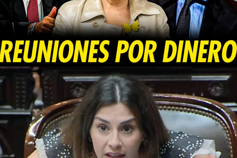 ¡BOMBA INTERNACIONAL! ACUSAN A PILAR RAHOLA DE “VENDER” REUNIONES CON EL ENTORNO DE MILEI EN MADRID: PAGANO HABLA DE DINERO, INFORMACIÓN PRIVILEGIADA Y UNA RED DE INFLUENCIA.HH