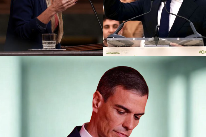 Todos miran hacia una posible caída del Gobierno, pero la decisión final depende de un actor que ya ha marcado una línea roja imposible de ignorar