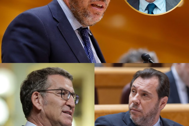 La batalla dialéctica ya está fuera de control. Después del durísimo ataque de Alberto Núñez Feijóo, la respuesta de Óscar Puente no solo desató aplausos y críticas: cambió por completo el tono del enfrentamiento. Ironía, tensión y mensajes cruzados que muchos interpretan como algo más que un simple intercambio político. Cada intervención añade más presión a un clima ya incendiado. ¿Estamos viendo un debate normal… o una escalada que puede terminar explotando mucho más allá del Congreso?