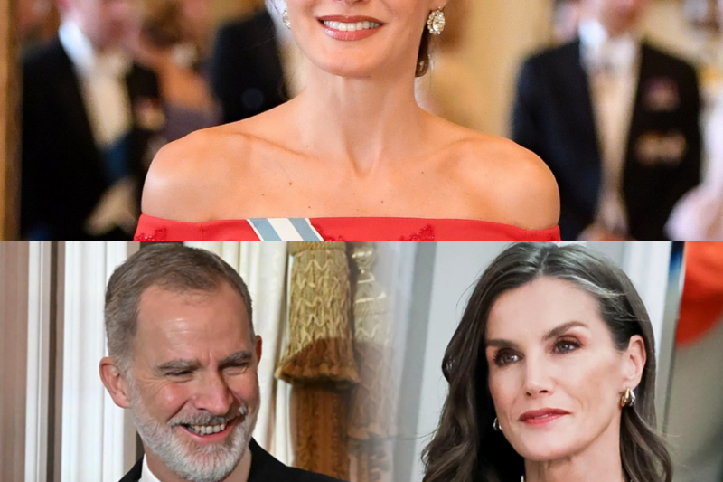 La reina Letizia rompió las reglas y le mostró esta acción al rey Felipe como un “instinto protector” o una eliminación de “barreras institucionales”.