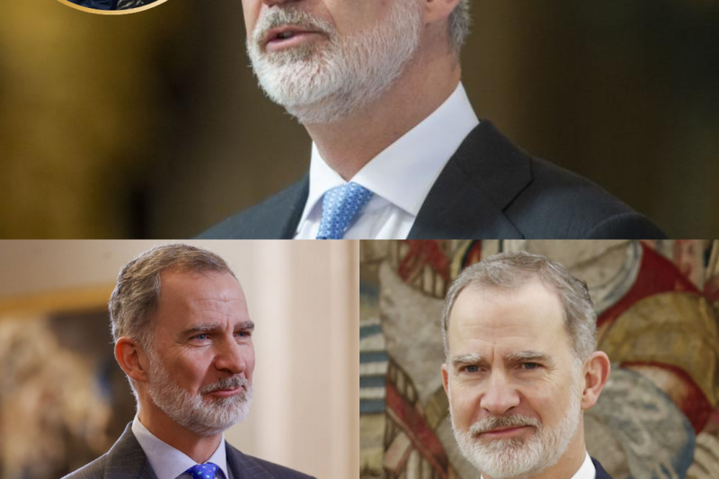 La historia familiar de Felipe VI vuelve a despertar una enorme curiosidad dentro y fuera de España. Con una genealogía marcada por la realeza europea y antepasados de hasta nueve nacionalidades distintas, el rey posee uno de los linajes más sorprendentes y complejos de las monarquías actuales. Los detalles sobre sus orígenes están generando una avalancha de reacciones y comentarios en redes sociales.