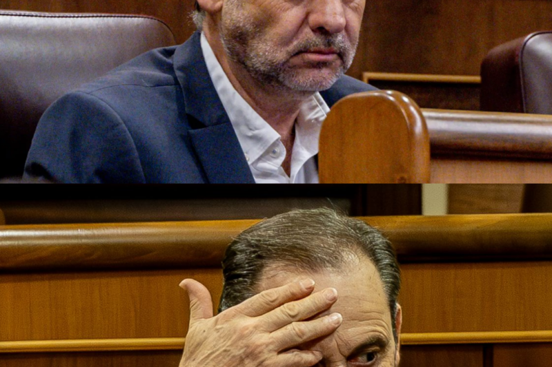 Romper el relato. Marcar distancias. Sobrevivir al proceso. José Luis Ábalos prepara su estrategia para desmontar la acusación de organización criminal. El exministro se desvinculará de los movimientos de Aldama y de la operativa de Koldo García, y defenderá que la compra de mascarillas respondió únicamente a la urgencia extrema de la pandemia. La causa entra en una nueva fase. Y el juicio, en su momento más decisivo.(hh)