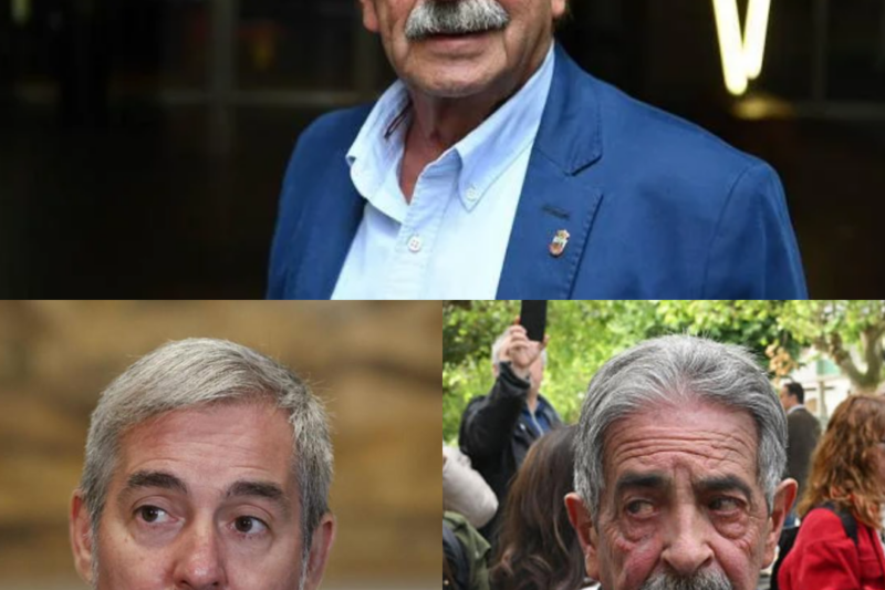 La polémica en torno al Hondius ha entrado en una fase aún más incómoda. Revilla ha criticado duramente a quienes se oponen al atraque del buque y ha dirigido un mensaje directo a Clavijo. Sus palabras se han difundido en redes sociales y han desatado un nuevo conflicto político. Pero tras esta intervención, persiste una pregunta: ¿fue simplemente una advertencia innegable o una opinión personal sin importancia?