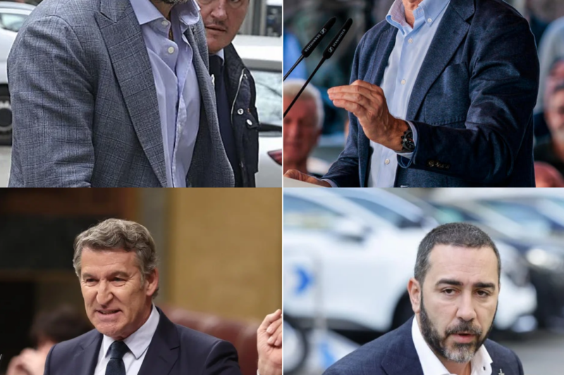La declaración cayó como un terremoto. Las palabras del fiscal Luzón no solo contradicen versiones difundidas por Alberto Núñez Feijóo y Víctor de Aldama, también reabren un debate que parecía ya instalado en la opinión pública. El foco vuelve a colocarse sobre el relato político y sobre quién dijo realmente la verdad. ¿Estamos ante un giro inesperado del caso… o ante una batalla narrativa que apenas empieza?