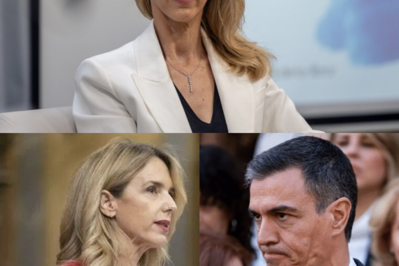 No fue un intercambio cualquiera. Fue un golpe directo que cambió la situación por completo en segundos. Risas tensas… y de repente, un silencio más denso que cualquier palabra. El feroz ataque de Cayetana contra el PSOE de Sánchez había enfurecido incluso al socialista más acérrimo y provocado una reacción inesperada en el Parlamento.