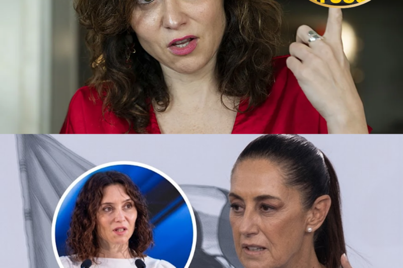 Ayuso inventó rumores sobre un complot para atacarlo en México, “llorando por un viaje fallido”. Las intensas reacciones y el frenesí mediático convirtieron el incidente en una verdadera tormenta política y social. Las redes sociales estallaron en minutos, surgieron versiones contradictorias y el ambiente se tornó extremadamente tenso.