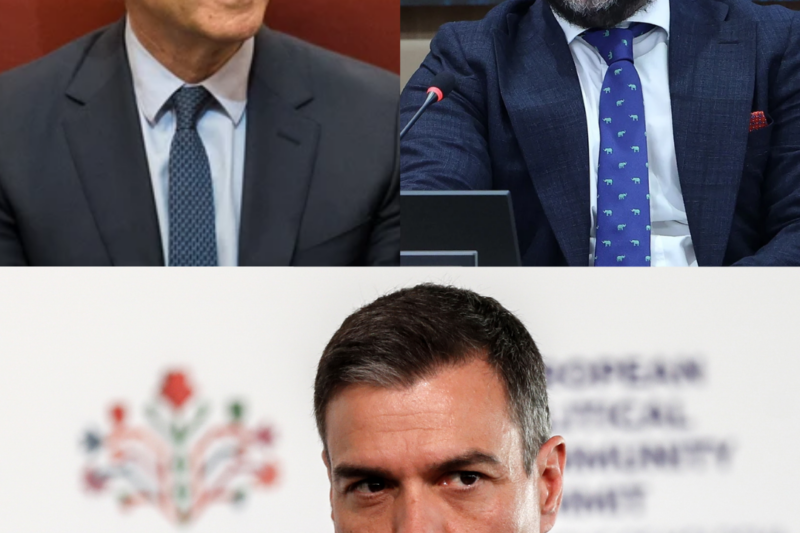 “PACTO OCULTO EN EL SUPREMO”: EL HOMBRE DE LOS 5,5 MILLONES PODRÍA SALIR LIBRE TRAS DISPARAR CONTRA SÁNCHEZ — ESPAÑA ANTE EL MAYOR ESCÁNDALO JUDICIAL DE LA DÉCADA.HH