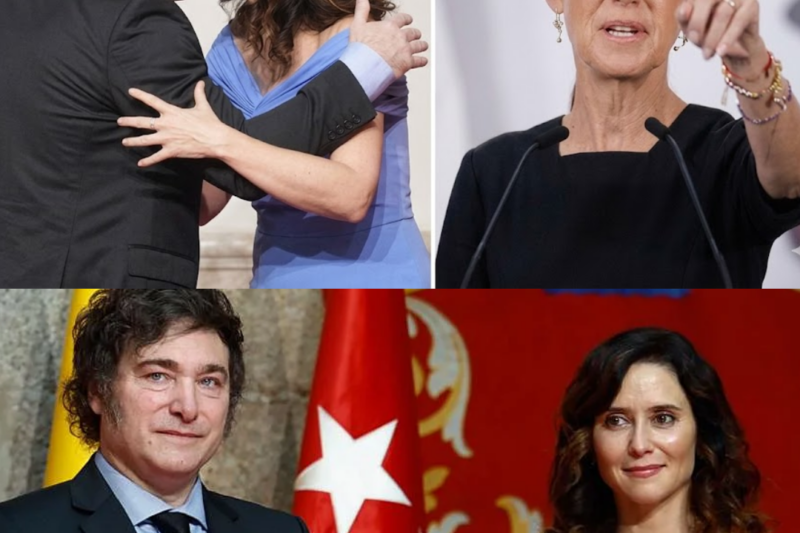 La grabación de audio filtrada causó gran revuelo en el ámbito político. Se lanzaron acusaciones contra los presuntos responsables del viaje de Díaz Ayuso a México, y los nombres de Milei y Salinas Pliego se vieron involucrados en la controversia. En medio de versiones contradictorias, silencios incómodos y una presión creciente, una pregunta dominaba el debate: ¿quién financió realmente esta campaña?