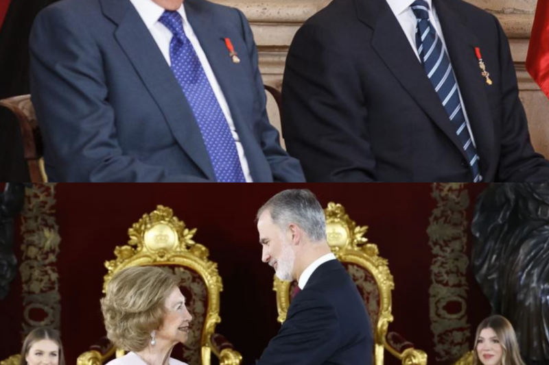 La decisión que emocionó a Felipe VI tras la salida de Juan Carlos de España.HH