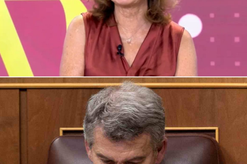 “SI NO VAN A AYUDAR, QUE NO MOLESTEN”: EL MENSAJE QUE HUNDE A FEIJÓO TRAS SU ATAQUE EN PLENA CRISIS SANITARIA.HH