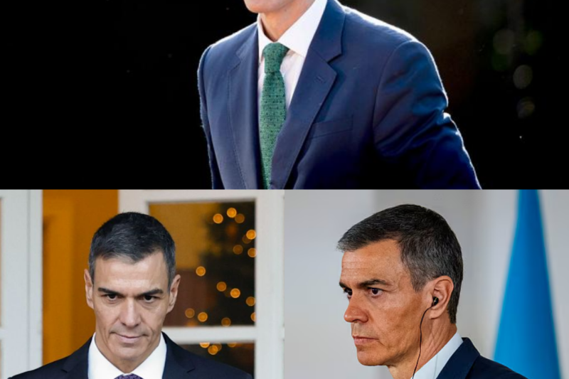 Una conocida revista de Estados Unidos ha provocado un enorme revuelo en España tras utilizar un adjetivo inesperado para definir a Pedro Sánchez. La descripción sorprendió tanto a seguidores como a detractores del presidente y desató una avalancha inmediata de reacciones en redes sociales. El debate explotó en cuestión de minutos y el término elegido ya está dando mucho de qué hablar dentro y fuera del país.