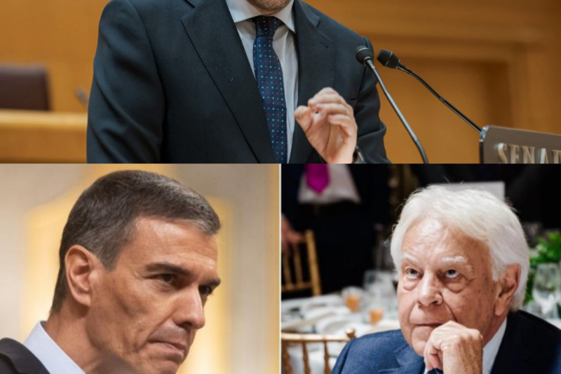 El ministro de Transportes responde sin filtros al expresidente y reabre la fractura interna en el PSOE en pleno terremoto político |BV