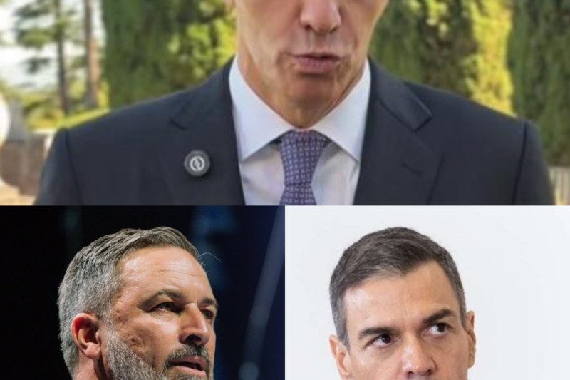 TikTok estalla tras la inesperada respuesta de Sánchez a Vox: un mensaje cargado de simbolismo que nadie vio venir.